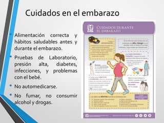 Cuidados en el embarazo
• Alimentación correcta y
hábitos saludables antes y
durante el embarazo.
• Pruebas de Laboratorio,
presión alta, diabetes,
infecciones, y problemas
con el bebé.
• No automedicarse.
• No fumar, no consumir
alcohol y drogas.
 