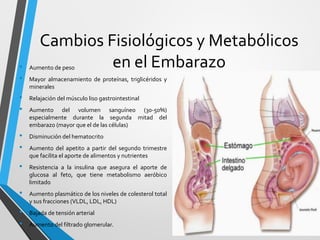 Cambios Fisiológicos y Metabólicos
en el Embarazo
• Aumento de peso
• Mayor almacenamiento de proteínas, triglicéridos y
minerales
• Relajación del músculo liso gastrointestinal
• Aumento del volumen sanguíneo (30-50%)
especialmente durante la segunda mitad del
embarazo (mayor que el de las células)
• Disminución del hematocrito
• Aumento del apetito a partir del segundo trimestre
que facilita el aporte de alimentos y nutrientes
• Resistencia a la insulina que asegura el aporte de
glucosa al feto, que tiene metabolismo aeróbico
limitado
• Aumento plasmático de los niveles de colesterol total
y sus fracciones (VLDL, LDL, HDL)
• Bajada de tensión arterial
• Aumento del filtrado glomerular.
 