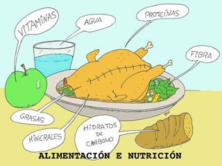 ALIMENTACIÓN E NUTRICIÓN
 