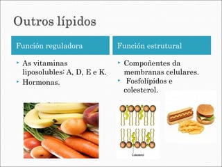 Función reguladora Función estrutural
 As vitaminas
liposolubles: A, D, E e K.
 Hormonas.
 Compoñentes da
membranas celulares.
 Fosfolípidos e
colesterol.
 