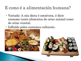  Variada: A súa dieta é omnívora, é dicir
consome tanto alimentos de orixe animal como
de orixe vexetal.
 Influída polos costumes culturais.
 