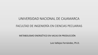 UNIVERSIDAD NACIONAL DE CAJAMARCA
FACULTAD DE INGENIERÍA EN CIENCIAS PECUARIAS
METABOLISMO ENERGÉTICO EN VACAS EN PRODUCCIÓN
Luis Vallejos Fernández, Ph.D.
 