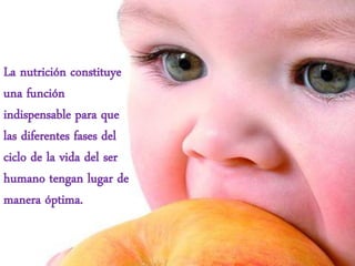 La nutrición constituye
una función
indispensable para que
las diferentes fases del
ciclo de la vida del ser
humano tengan lugar de
manera óptima.
 