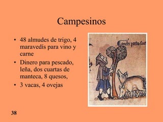 Campesinos 48 almudes de trigo, 4 maravedís para vino y carne Dinero para pescado, leña, dos cuartas de manteca, 8 quesos,  3 vacas, 4  ovejas  38 