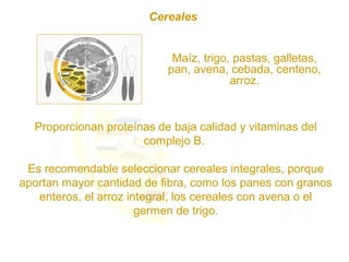 Proporcionan proteínas de baja calidad y vitaminas del
complejo B.
Es recomendable seleccionar cereales integrales, porque
aportan mayor cantidad de fibra, como los panes con granos
enteros, el arroz integral, los cereales con avena o el
germen de trigo.
Maíz, trigo, pastas, galletas,
pan, avena, cebada, centeno,
arroz.
Cereales
 