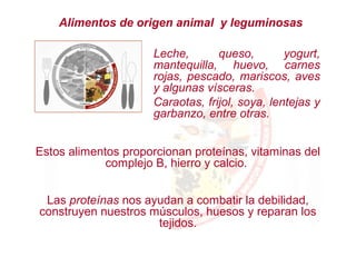 Alimentos de origen animal y leguminosas
Estos alimentos proporcionan proteínas, vitaminas del
complejo B, hierro y calcio.
Las proteínas nos ayudan a combatir la debilidad,
construyen nuestros músculos, huesos y reparan los
tejidos.
Leche, queso, yogurt,
mantequilla, huevo, carnes
rojas, pescado, mariscos, aves
y algunas vísceras.
Caraotas, frijol, soya, lentejas y
garbanzo, entre otras.
 