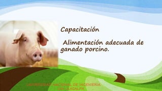 Capacitación
Alimentación adecuada de
ganado porcino.
UNIVERSIDAD NACIONAL DE INGENIERIA
UNI-JUIGALPA
 