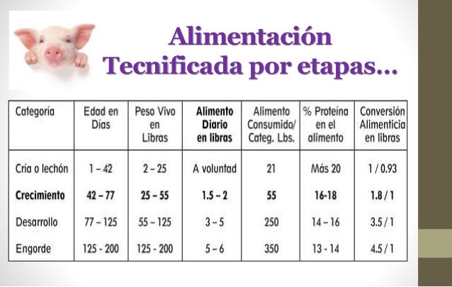 Alimentación porcina 2014