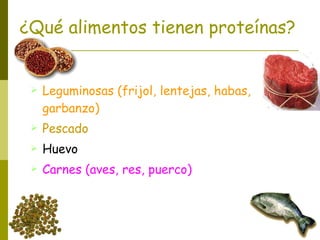 ¿Qué alimentos tienen proteínas? Leguminosas (frijol, lentejas, habas, garbanzo) Pescado Huevo Carnes (aves, res, puerco) 