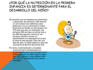¿POR QUÉ LA NUTRICIÓN EN LA PRIMERA
INFANCIA ES DETERMINANTE PARA EL
DESARROLLO DEL NIÑO?
De acuerdo con los expertos en crecimiento
y desarrollo, los primeros 1000 días de
un ser humano son definitivos para
potenciar o no su crecimiento y salud.
Esos días se dividen en tres grupos: los
270 días que dura un embarazo, los
primeros 365 de vida o el primer año y
los 365 del segundo. Nunca un ser
humano volverá a crecer o a
desarrollarse a la velocidad con la que
lo hace en ese periodo. Para dar una
idea de esto, un bebé triplica su peso de
nacimiento al término del primer año.
Por tanto, la alimentación y el estado
nutricional de la embarazada son
fundamentales para que se logre que el
bebé nazca con un peso mayor o igual
que 2500 gramos y una longitud entre
48 y 50 cm, considerados los valores
normales.
 
