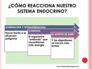 ¿CÓMO REACCIONA NUESTRO
SISTEMA ENDOCRINO?
ADRENALINA Y NORADRENALINA
Hacer frente a la
situación
peligrosa
CORTISOL
El organismo
“entiende” que
necesitamos
más energía
EL APETITO SE ABRE
Y las digestiones
se hacen más
lentas
www.centrumpsicologos.com
 