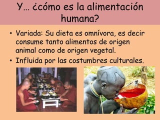 Y… ¿cómo es la alimentación
humana?
• Variada: Su dieta es omnívora, es decir
consume tanto alimentos de origen
animal como de origen vegetal.
• Influida por las costumbres culturales.
 