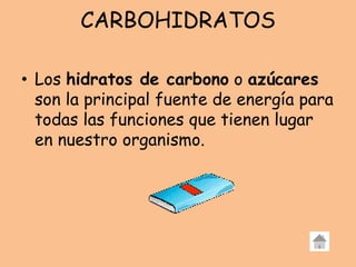 CARBOHIDRATOS
• Los hidratos de carbono o azúcares
son la principal fuente de energía para
todas las funciones que tienen lugar
en nuestro organismo.
 