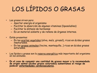 LOS LÍPIDOS O GRASAS
• Las grasas sirven para:
– Aportar energía al organismo
– Facilitar la absorción de algunas vitaminas (liposolubles)
– Facilitar la síntesis de hormonas
– Es un material aislante y de relleno de órganos internos.
• Están presentes:
– En los aceites vegetales (oliva, maíz, girasol), ricos en ácidos grasos
insaturados.
– En las grasas animales (tocino, mantequilla…) ricas en ácidos grasos
saturados.
• Los lípidos o grasas son la reserva energética más importante del organismo
en los animales.
• En el caso de consumir una cantidad de grasas mayor a la recomendada
de origen animal (ácidos grasos saturados) aumentamos el riesgo de
padecer enfermedades cardiovasculares.
 
