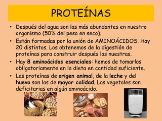 PROTEÍNAS
• Después del agua son las más abundantes en nuestro
organismo (50% del peso en seco).
• Están formadas por la unión de AMINOÁCIDOS. Hay
20 distintos. Los obtenemos de la digestión de
proteínas para construir después las nuestras.
• Hay 8 aminoácidos esenciales: hemos de tomarlos
obligatoriamente en la dieta en cantidad suficiente.
• Las proteínas de origen animal, de la leche y del
huevo son las de mayor calidad. Las vegetales son
deficitarias en algún aminoácido.
 