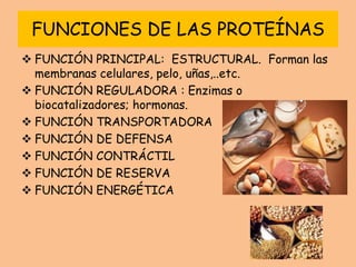 FUNCIONES DE LAS PROTEÍNAS
 FUNCIÓN PRINCIPAL: ESTRUCTURAL. Forman las
membranas celulares, pelo, uñas,..etc.
 FUNCIÓN REGULADORA : Enzimas o
biocatalizadores; hormonas.
 FUNCIÓN TRANSPORTADORA
 FUNCIÓN DE DEFENSA
 FUNCIÓN CONTRÁCTIL
 FUNCIÓN DE RESERVA
 FUNCIÓN ENERGÉTICA
 