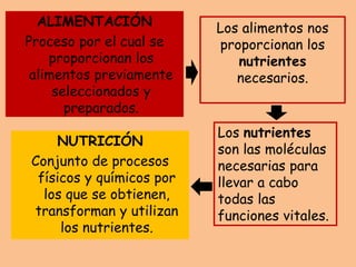 Los alimentos nos
proporcionan los
nutrientes
necesarios.
ALIMENTACIÓN
Proceso por el cual se
proporcionan los
alimentos previamente
seleccionados y
preparados.
Los nutrientes
son las moléculas
necesarias para
llevar a cabo
todas las
funciones vitales.
NUTRICIÓN
Conjunto de procesos
físicos y químicos por
los que se obtienen,
transforman y utilizan
los nutrientes.
 
