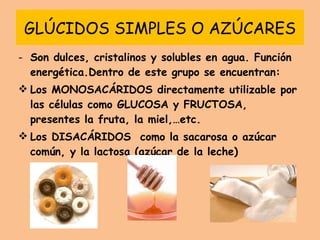 GLÚCIDOS SIMPLES O AZÚCARES Son dulces, cristalinos y solubles en agua. Función energética.Dentro de este grupo se encuentran: Los MONOSACÁRIDOS directamente utilizable por las células como GLUCOSA y FRUCTOSA, presentes la fruta, la miel,…etc. Los DISACÁRIDOS  como la sacarosa o azúcar común, y la lactosa (azúcar de la leche) 