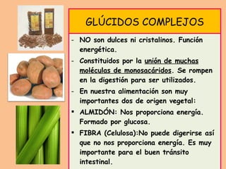 GLÚCIDOS COMPLEJOS NO son dulces ni cristalinos. Función energética. Constituidos por la  unión de muchas moléculas de monosacáridos . Se rompen en la digestión para ser utilizados. En nuestra alimentación son muy importantes dos de origen vegetal: ALMIDÓN: Nos proporciona energía. Formado por glucosa. FIBRA (Celulosa):No puede digerirse así que no nos proporciona energía. Es muy importante para el buen tránsito intestinal. 