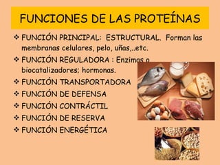 FUNCIONES DE LAS PROTEÍNAS FUNCIÓN PRINCIPAL:  ESTRUCTURAL.  Forman las membranas celulares, pelo, uñas,..etc. FUNCIÓN REGULADORA : Enzimas o biocatalizadores; hormonas. FUNCIÓN TRANSPORTADORA FUNCIÓN DE DEFENSA FUNCIÓN CONTRÁCTIL FUNCIÓN DE RESERVA FUNCIÓN ENERGÉTICA 
