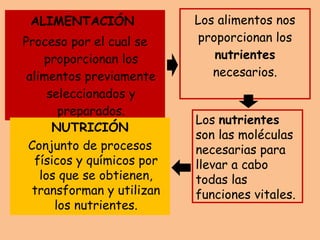 Los alimentos nos proporcionan los  nutrientes  necesarios. ALIMENTACIÓN  Proceso por el cual se proporcionan los alimentos previamente seleccionados y preparados. Los  nutrientes  son las moléculas necesarias para llevar a cabo todas las funciones vitales. NUTRICIÓN Conjunto de procesos físicos y químicos por los que se obtienen, transforman y utilizan los nutrientes. 