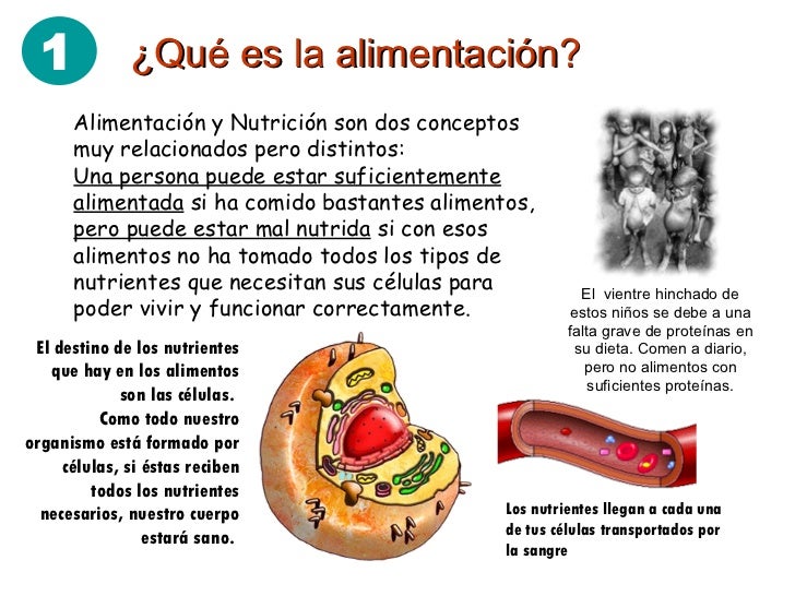 A falta de hombres buenos platanos 10