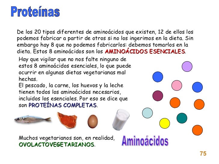 ALIMENTACION Y NUTRICION ALIMENTACION Y NUTRICION