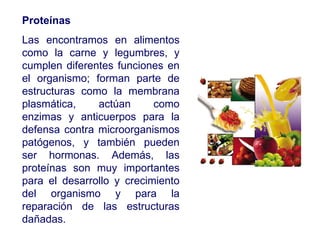 Proteínas Las encontramos en alimentos como la carne y legumbres, y cumplen diferentes funciones en el organismo; forman parte de estructuras como la membrana plasmática, actúan como enzimas y anticuerpos para la defensa contra microorganismos patógenos, y también pueden ser hormonas. Además, las proteínas son muy importantes para el desarrollo y crecimiento del organismo y para la reparación de las estructuras dañadas. 