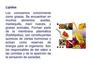 Lípidos Los conocemos comúnmente como grasas. Se encuentran en muchos alimentos: aceites, mantequilla, maní nueces, y grasas animales. Forman parte de la membrana plasmática (fosfolípidos), son constituyentes químicos de ciertas hormonas y actúan como reservas de energía para el organismo. Son los responsables de dar sabor a las comidas y de la aparición de la sensación de saciedad. 