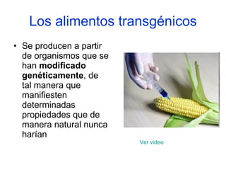 Los alimentos transgénicos <ul><li>Se producen a partir de organismos que se han  modificado genéticamente , de tal manera...