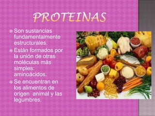  Son  sustancias
  fundamentalmente
  estructurales.
 Están formados por
  la unión de otras
  moléculas más
  simples:
  aminoácidos.
 Se encuentran en
  los alimentos de
  origen animal y las
  legumbres.
 