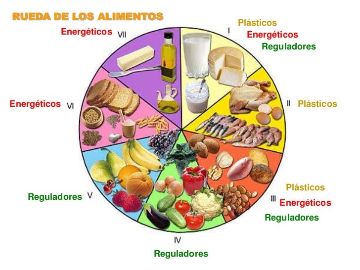 Alimentación y nutrición
