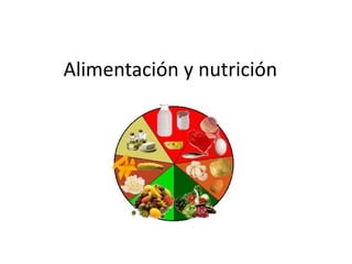 Alimentación y nutrición
 