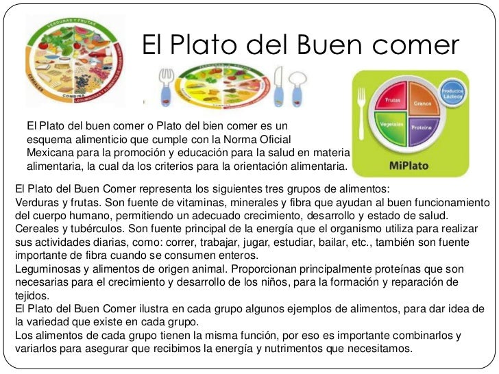 el plato del buen comer el plato del buen comer