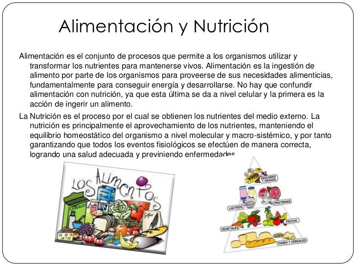 Alimentación y nutrición diapositivas