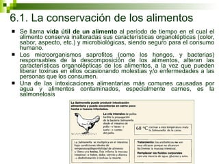 6.1. La conservación de los alimentos Se llama  vida útil de un alimento  al período de tiempo en el cual el alimento conserva inalteradas sus características organolépticas (color, sabor, aspecto, etc.) y microbiológicas, siendo seguro para el consumo humano. Los microorganismos saprofitos (como los hongos, y bacterias) responsables de la descomposición de los alimentos, alteran las características organolépticas de los alimentos, a la vez que pueden liberar toxinas en ellos ocasionando molestias y/o enfermedades a las personas que los consumen.  Una de las intoxicaciones alimentarias más comunes causadas por agua y alimentos contaminados, especialmente carnes, es la salmonelosis 