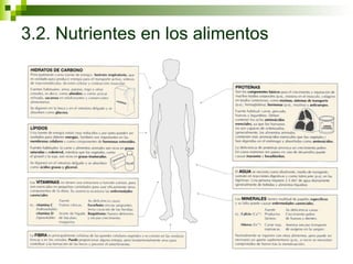3.2. Nutrientes en los alimentos 