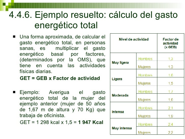 Alimentación Y Nutrición II