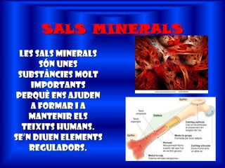 SALS MINERALS
  Les sals minerals
       són unes
 substàncies molt
    importants
 perquè ens ajuden
    a formar i a
    mantenir els
  teixits humans.
Se’n diuen elements
    reguladors.
 
