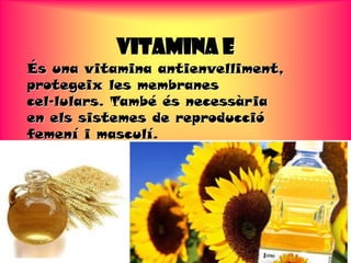 VITAMINA E
És una vitamina antienvelliment,
protegeix les membranes
cel·lulars. També és necessària
en els sistemes de reproducció
femení i masculí.
 