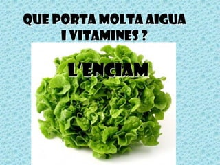 Que porta molta aigua
     i vitamines ?

     L’enciam
 