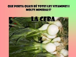 Que porta quasi bé totes les vitamines i
           molts minerals?


               La ceba
 