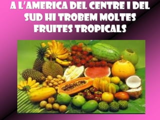 A l’America del centre i del
   sud hi trobem moltes
     fruites tropicals
 
