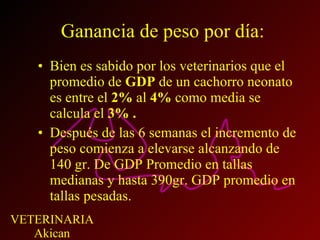 Ganancia de peso por día: Bien es sabido por los veterinarios que el promedio de  GDP  de un cachorro neonato es entre el  2%  al  4%  como media se calcula el  3% . Después de las 6 semanas el incremento de peso comienza a elevarse alcanzando de 140 gr. De GDP Promedio en tallas medianas y hasta 390gr. GDP promedio en tallas pesadas. 