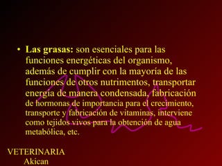 Las grasas:  son esenciales para las funciones energéticas del organismo, además de cumplir con la mayoría de las funciones de otros nutrimentos, transportar energía de manera condensada, fabricación  de hormonas de importancia para el crecimiento, transporte y fabricación de vitaminas, interviene como tejidos vivos para la obtención de agua metabólica, etc. 