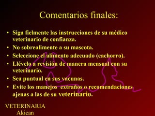 Comentarios finales: Siga fielmente las instrucciones de su médico veterinario de confianza. No sobrealimente a su mascota. Seleccione el alimento adecuado (cachorro). Llévelo a revisión de manera mensual con su veterinario. Sea puntual en sus vacunas. Evite los manejos  extraños o recomendaciones ajenas a las de su  veterinario. 