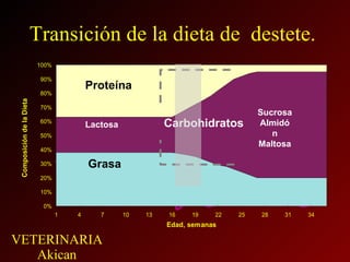 Transición de la dieta de  destete. Proteína Carbohidratos Lactosa Grasa Sucrosa Almidón Maltosa 