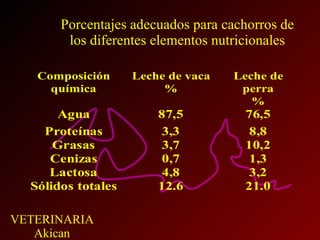 Porcentajes adecuados para cachorros de los diferentes elementos nutricionales 