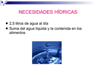 NECESIDADES HÍDRICAS 2,5 litros de agua al día Suma del agua líquida y la contenida en los alimentos 