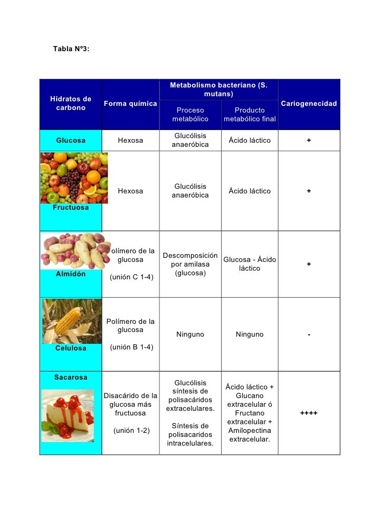 Alimentacion Alimentacion
